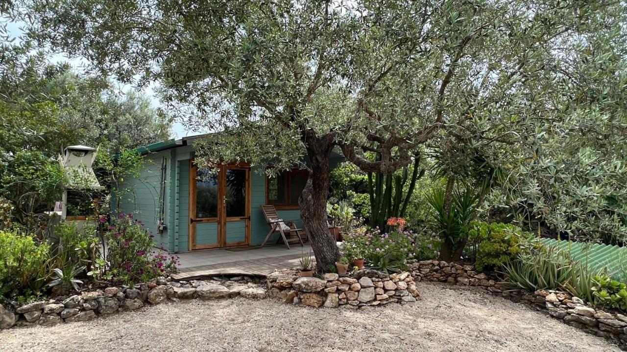 Finca Florecer Tivenys Exteriör bild