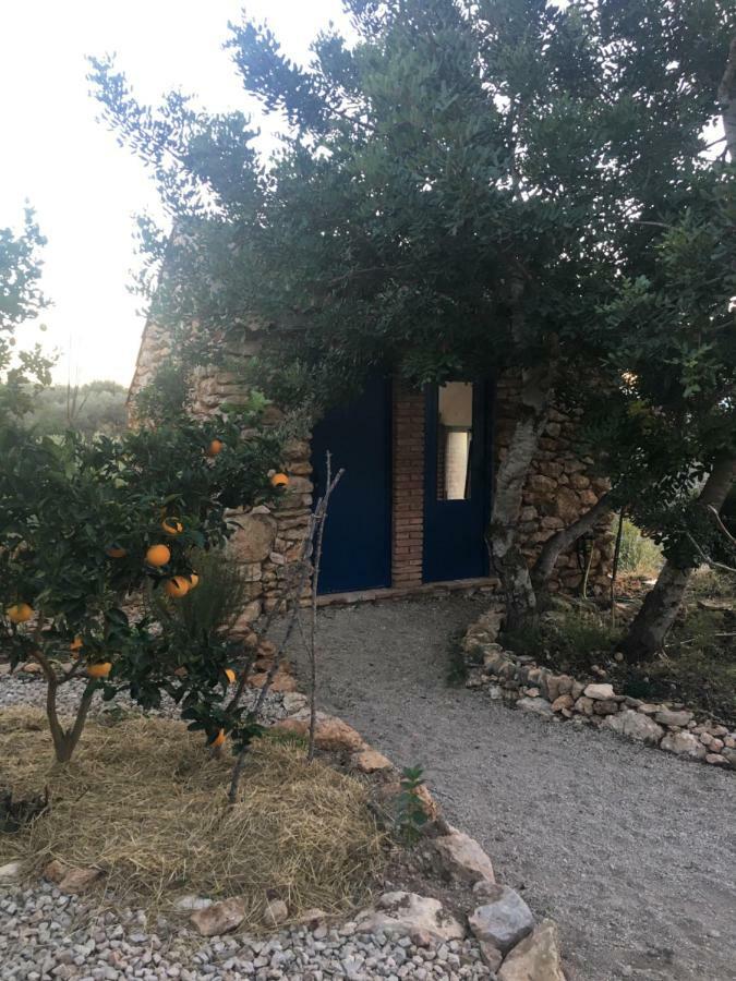 Finca Florecer Tivenys Exteriör bild